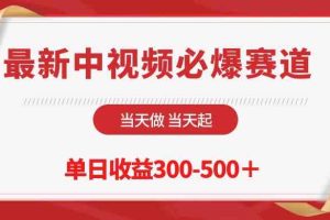 (10105期)最新中视频必爆赛道,当天做当天起,单日收益300-500+!