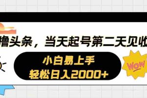 (10884期)AI撸头条,当天起号,第二天见收益。轻松日入2000+