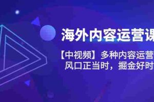 (10833期)海外内容 运营课【中视频】多种内容运营玩法 风口正当时 掘金好时机-101节