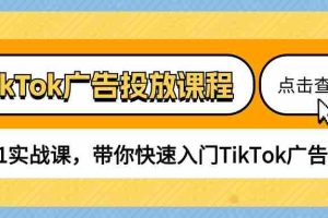 (10731期)TikTok广告投放课程,从0-1实战课,带你快速入门TikTok广告投放(30节课)