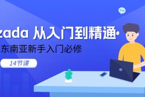 (11024期)lazada 从入门到精通,跨境东南亚新手入门必修(14节课)