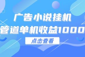 （12198期）广告小说挂机管道单机收益1000+