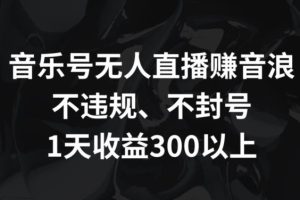 音乐号无人直播赚音浪，不违规、不封号，1天收益300+【揭秘】