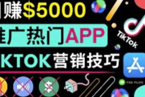 无需露脸，无需录音，无需投资，轻松上传短视频，利用TIKTOK赚钱，最高日入5000美元