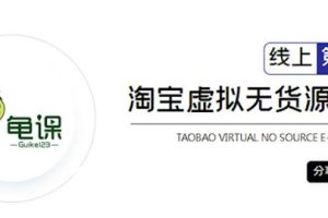 龟课·淘宝虚拟无货源电商5期，全程直播现场实操，一步步教你轻松实现躺赚