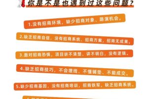 好课分享：王昕引爆招商，流量是一切生意的本质【视频课程】