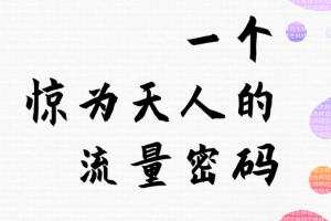 车载U盘冷门项目，惊为天人的流量密码，轻松月赚10000+【视频教程】