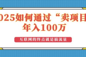 （14181期）2025年如何通过“卖项目”实现100万收益：最具潜力的盈利模式解析