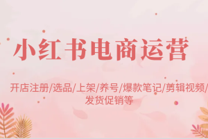小红书电商运营：开店注册/选品/上架/养号/爆款笔记/剪辑视频/发货促销等