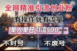 全网独家引流创业粉，有操作就有流量，单人单日引流500+，不封号、不费号
