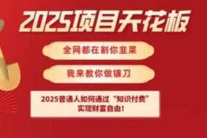 2025项目天花板普通人如何通过知识付费，实现财F自由【揭秘】
