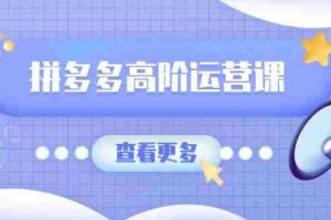（14327期）拼多多高阶运营课：极致群爆款玩法，轻付费无尽复制，打造单品爆款之路