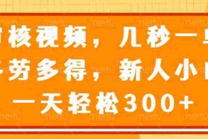 （14294期）审核视频，几秒一单，多劳多得，新人小白一天轻松300+