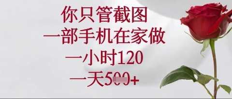 你只管截图，一部手机在家操作，一小时120.一天5张【揭秘】