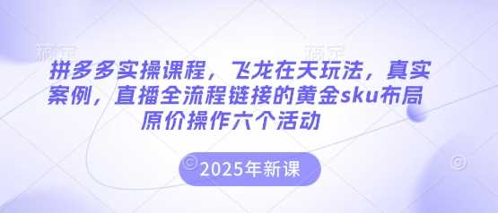 拼多多实操课程,飞龙在天玩法,真实案例,直播全流程链接的黄金sku布局原价操作六个活动