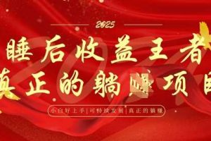 全网首发，面试辅导项目，每月被动收益，自己做老板，全流程AI化，轻松月入过W+