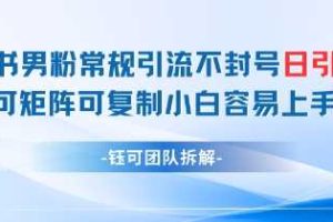 小红书男粉常规引流不封号日引99+变现简单 可矩阵可复制小白容易上手