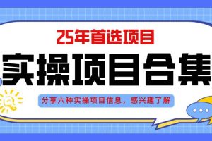 （14767期）2025年实操六大项目实操演练，挂机类型，AI直播类型，轻资产创业类型，…