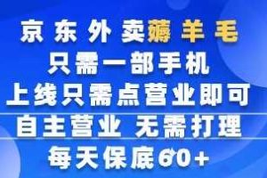 京东外卖薅羊毛，只需一部手机随时随地皆可操作，每天上线只需动动手指点营业即可，每天60+【揭秘】