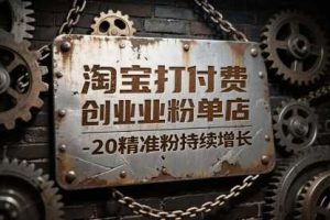 淘宝打付费创业粉单店每天稳定10-20精准粉持续增长【揭秘】