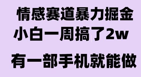情感暴力掘金项目,新人操作一周挣了2W,长期稳定小白可做【揭秘】