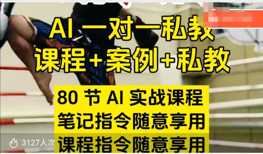AI指令实战课,课程+案例,80节AI实战课程,笔记指令随意享用,课程指令随意享用(更新7月)