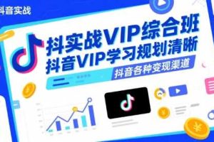 抖音实战VIP综合班，抖音VIP学习规划请晰抖音各种变现渠道