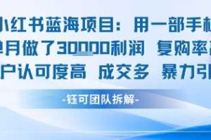 小红书蓝海项目，一部手机单月做了3W利润，小白也能月入过1W用户认可度高成交多