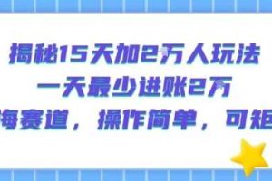 揭秘15天加2W人玩法，一天最少2万进账，蓝海赛道，操作简单，可矩阵