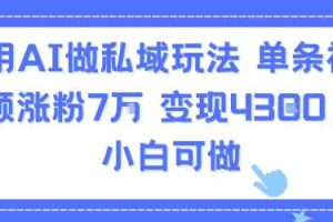 用AI做私域玩法，单条视频涨粉7W变现4.3k，小白可做