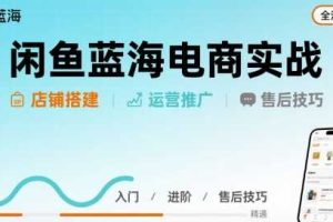 闲鱼蓝海电商实战，店铺搭建运营售后全流程