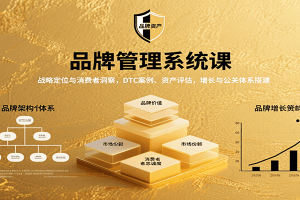 品牌管理系统课：战略定位与消费者洞察，DTC案例、资产评估，增长与公关体系搭建