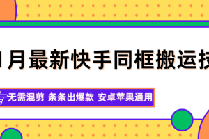 11月最新快手同框搬运技术，无需混剪 条条出爆款 安卓苹果通用