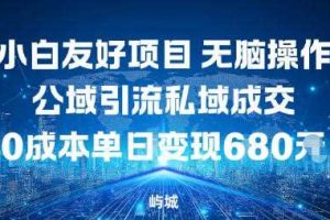 小白友好项目，无脑操作，公域引流私域成交，0成本单日变现680米