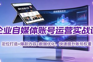 企业自媒体账号运营实战课：定位打造+ 爆款内容+数据优化，快速提升账号权重
