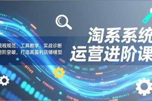 (16927期)淘系系统运营进阶课2.0,流程规范、工具教学、实战诊断,进阶突破,打造高盈利店铺模型