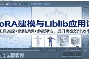 LoRA建模与Liblib应用课:工具实操+案例拆解+参数评估,提升商业设计效率