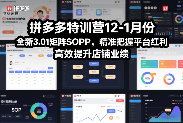 拼多多特训营12-1月份，全新3.01矩阵Sop，精准把握平台红利，高效提升店铺业绩